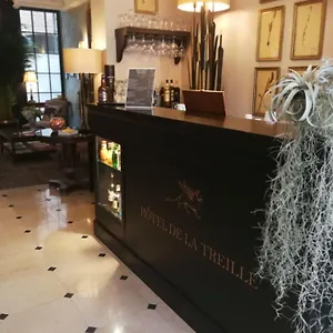 Hotel De La Treille, Lilla